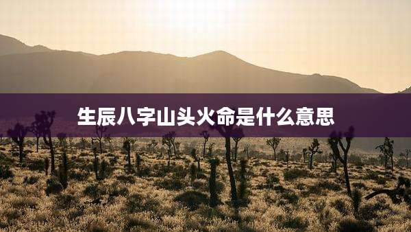 生辰八字山头火命是什么意思