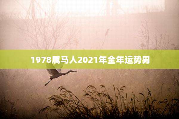 1978属马人2021年全年运势男