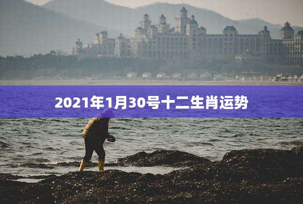 2021年1月30号十二生肖运势