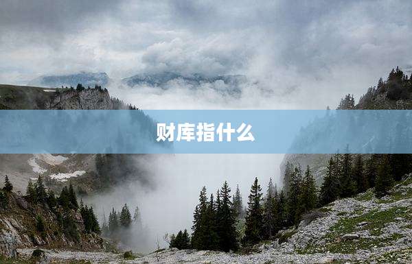 财库指什么
