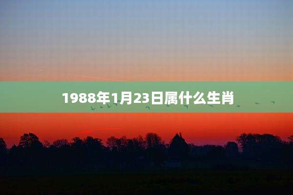 1988年1月23日属什么生肖