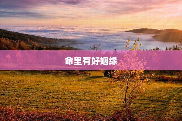 命里有好姻缘