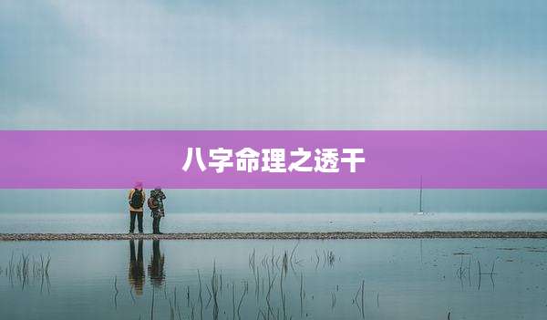 八字命理之透干