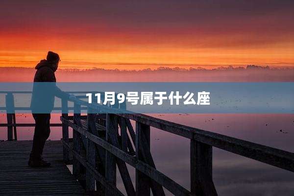 11月9号属于什么座