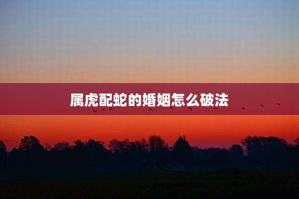 属虎配蛇的婚姻怎么破法