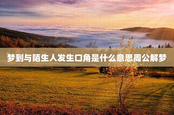 梦到与陌生人发生口角是什么意思周公解梦