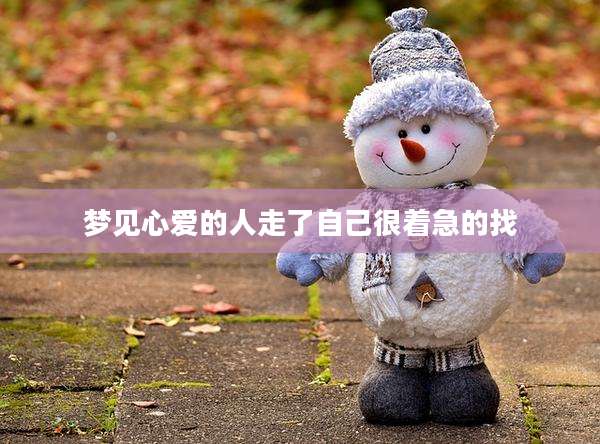 梦见心爱的人走了自己很着急的找