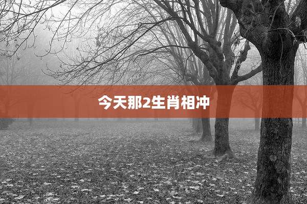 今天那2生肖相冲