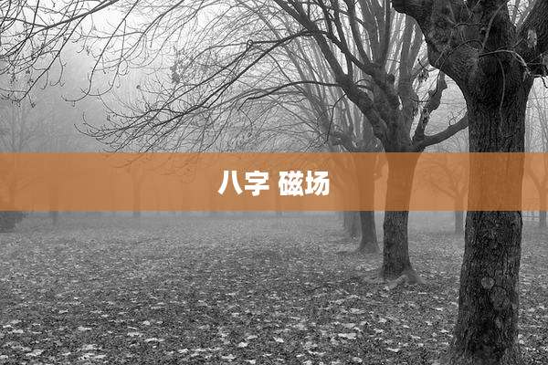 八字 磁场