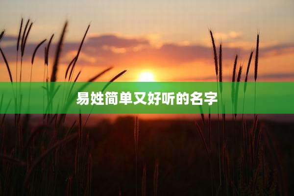 易姓简单又好听的名字