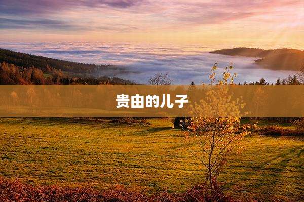 贵由的儿子