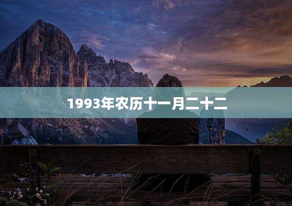 1993年农历十一月二十二