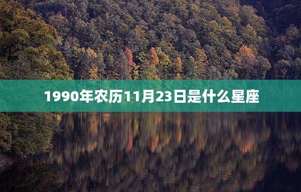 1990年农历11月23日是什么星座