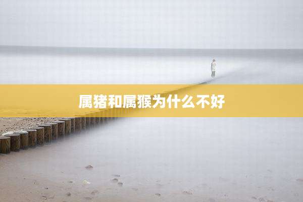 属猪和属猴为什么不好
