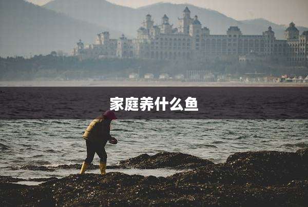 家庭养什么鱼