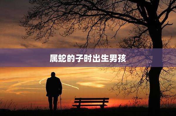 属蛇的子时出生男孩