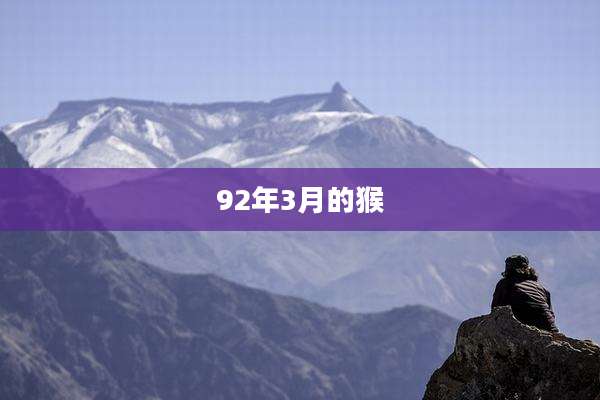 92年3月的猴