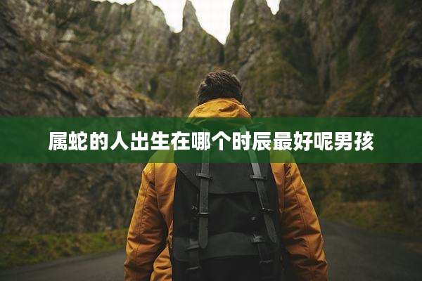 属蛇的人出生在哪个时辰最好呢男孩