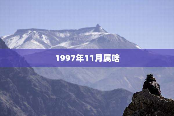1997年11月属啥