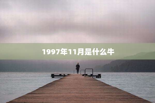 1997年11月是什么牛