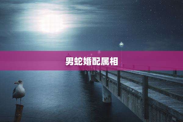 男蛇婚配属相