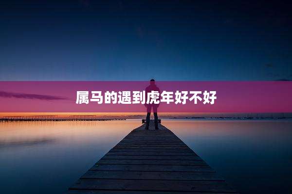属马的遇到虎年好不好