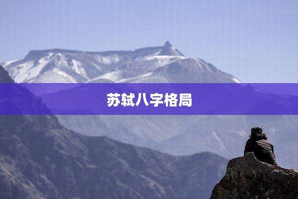 苏轼八字格局