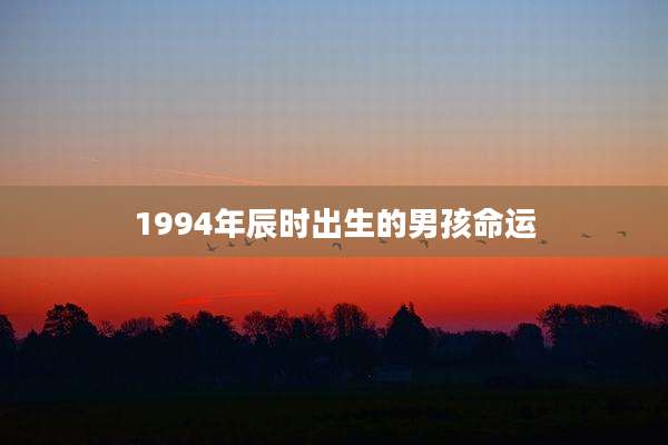 1994年辰时出生的男孩命运