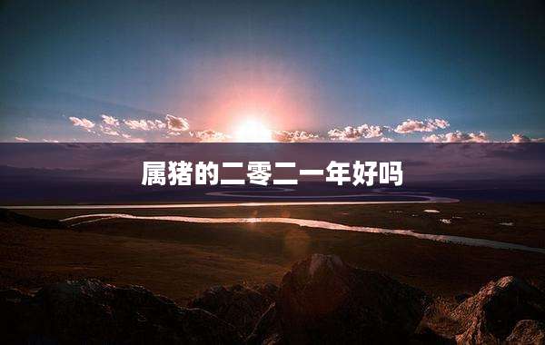 属猪的二零二一年好吗