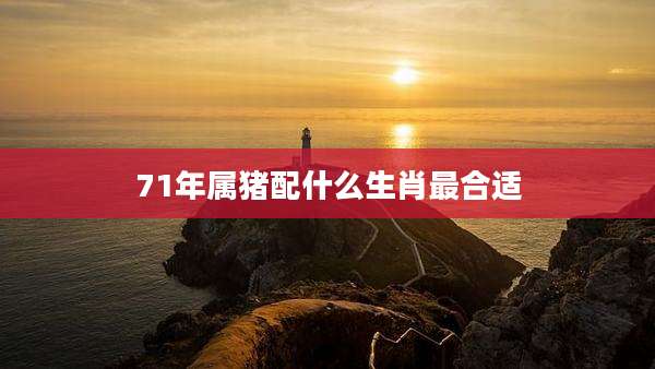 71年属猪配什么生肖最合适
