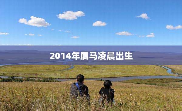 2014年属马凌晨出生