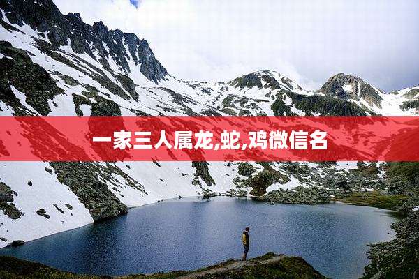 一家三人属龙,蛇,鸡微信名