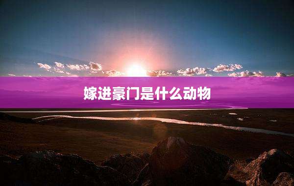 嫁进豪门是什么动物