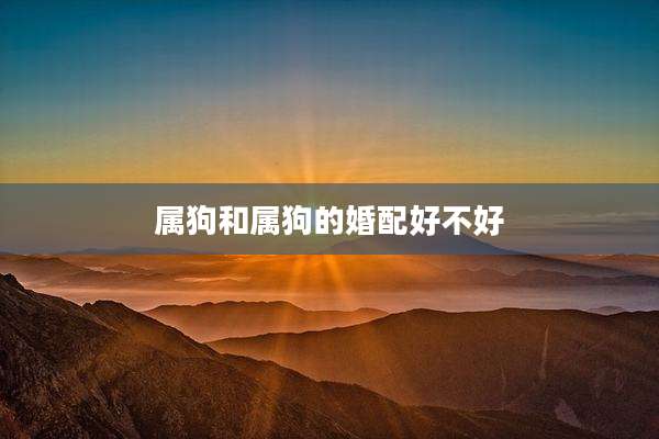 属狗和属狗的婚配好不好