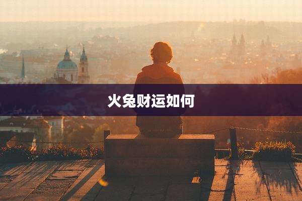 火兔财运如何