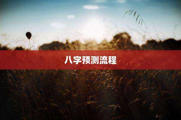 八字预测流程
