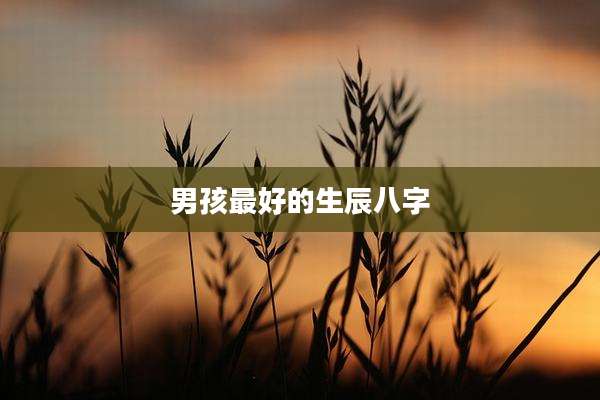 男孩最好的生辰八字
