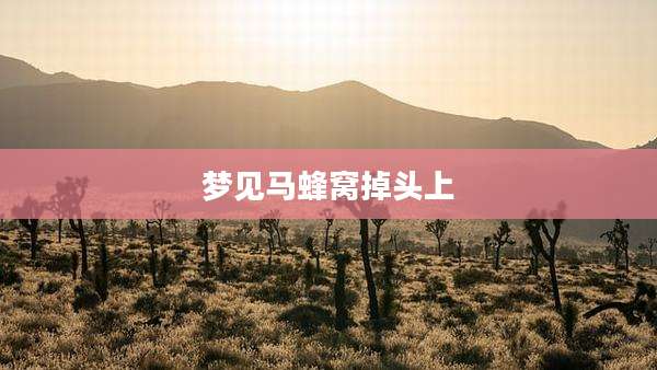 梦见马蜂窝掉头上