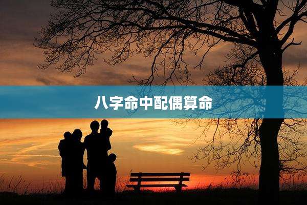 八字命中配偶算命