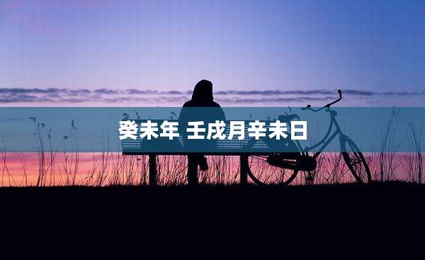 癸未年 壬戌月辛未日