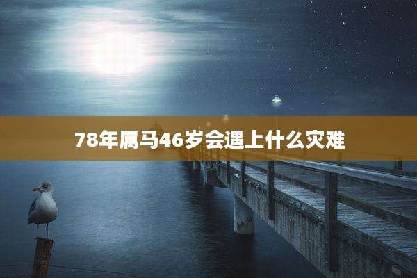 78年属马46岁会遇上什么灾难
