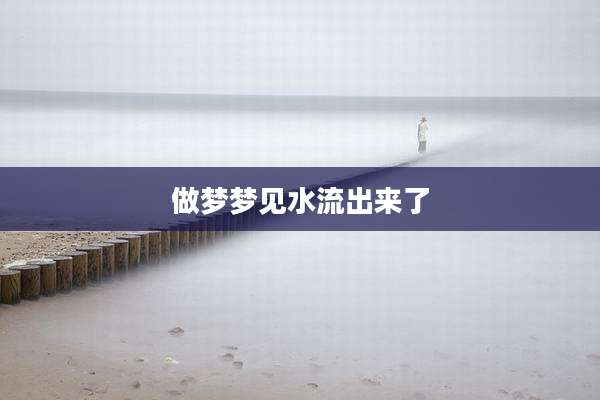 做梦梦见水流出来了