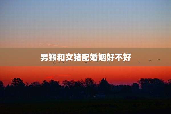 男猴和女猪配婚姻好不好