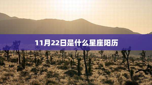 11月22日是什么星座阳历
