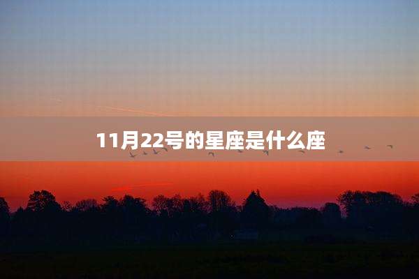 11月22号的星座是什么座