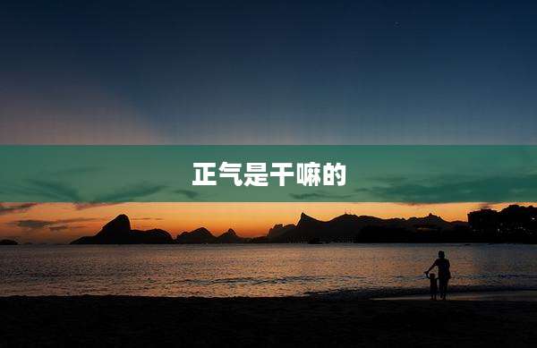 正气是干嘛的