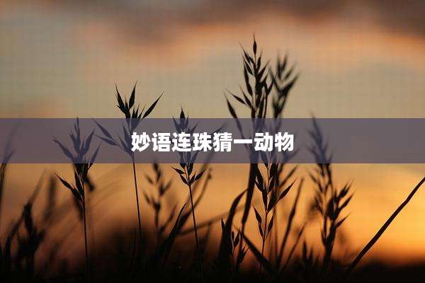 妙语连珠猜一动物
