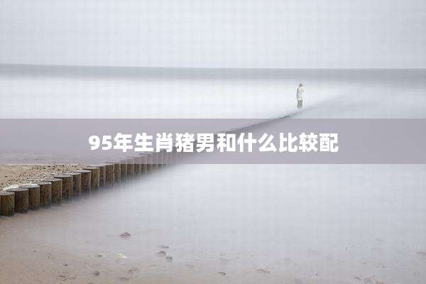 95年生肖猪男和什么比较配