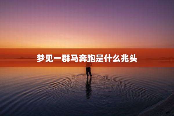 梦见一群马奔跑是什么兆头