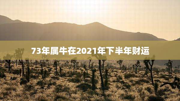73年属牛在2021年下半年财运